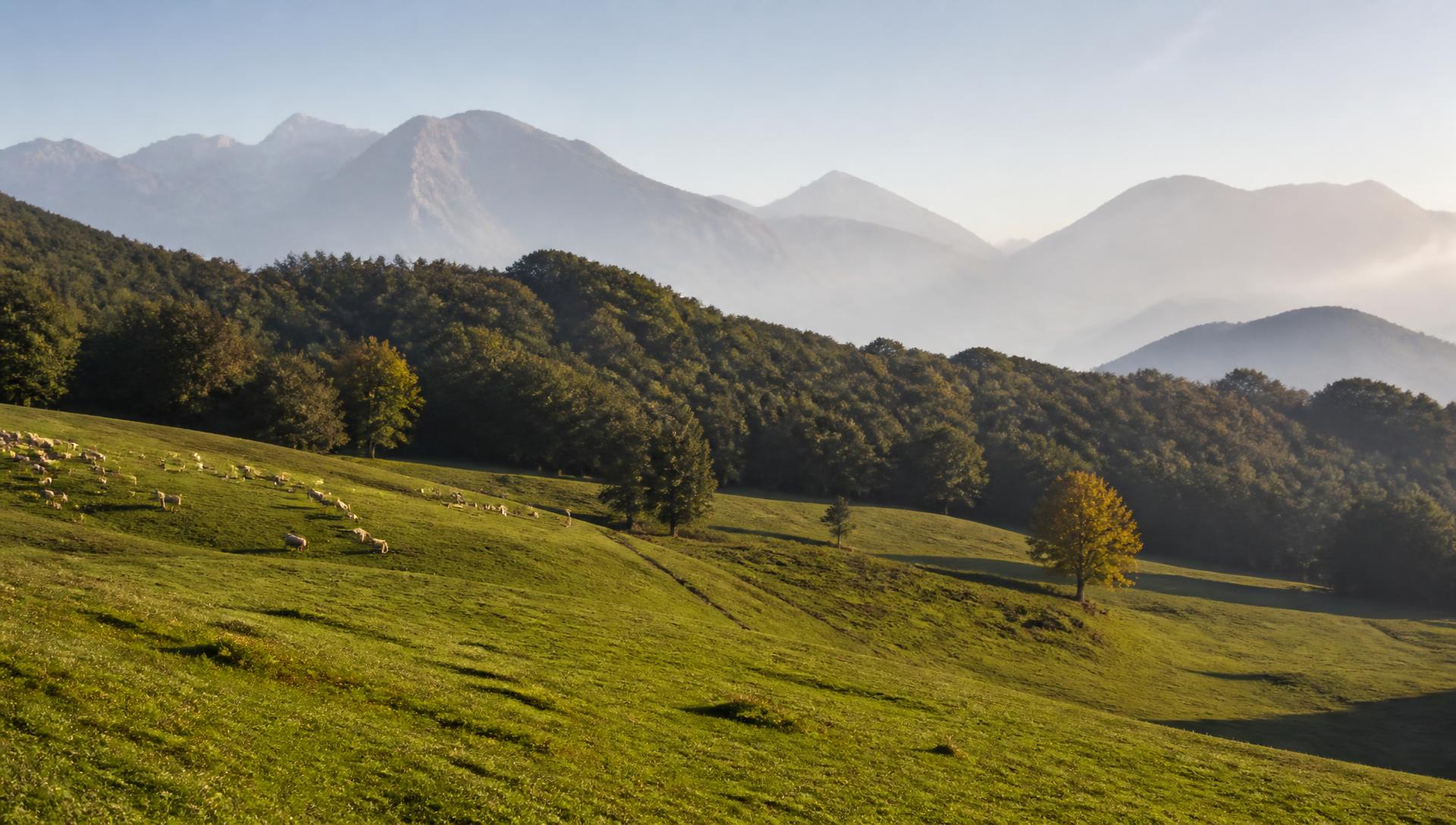 Green communal pastures and oak forest hills near Krujë, Albania at sunrise